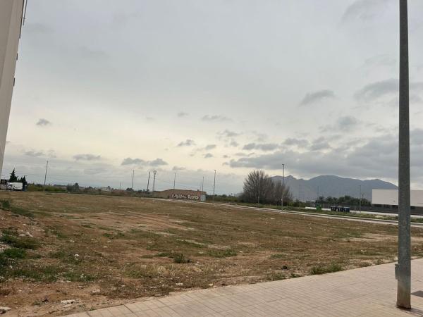 Terreno en Calle Reyes Católicos, Albatera thumbnail 3