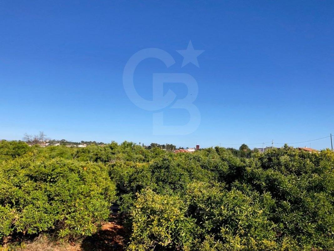 Terreno en venta en Denia, Alicante photo 2