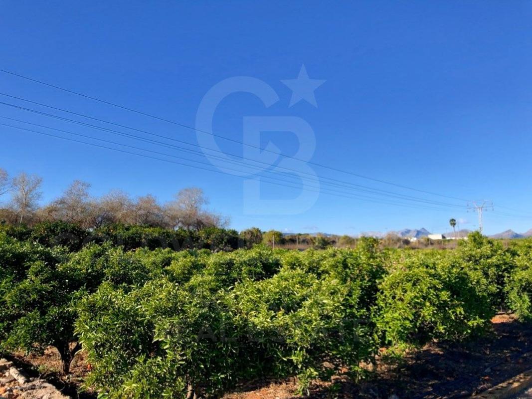 Terreno en venta en Denia, Alicante photo 4