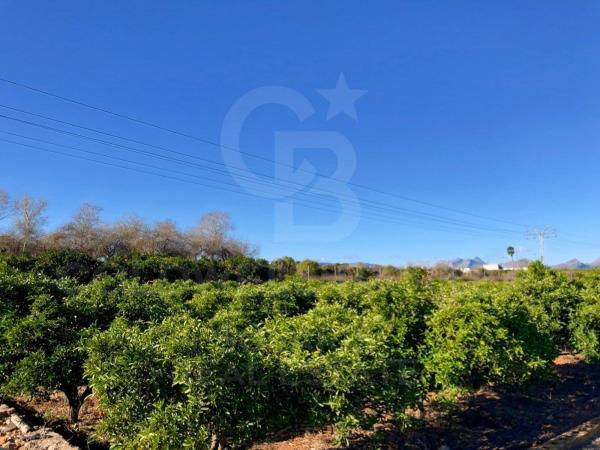 Terreno en La Xara - La Sella - Jesús Pobre, Denia photo 4
