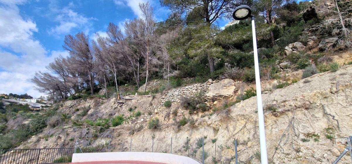 Land for sale in Moraira, Alicante photo 4
