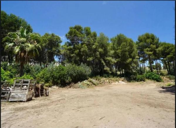 Terreno en Pinar de Advocat-Cometa, Moraira photo 2