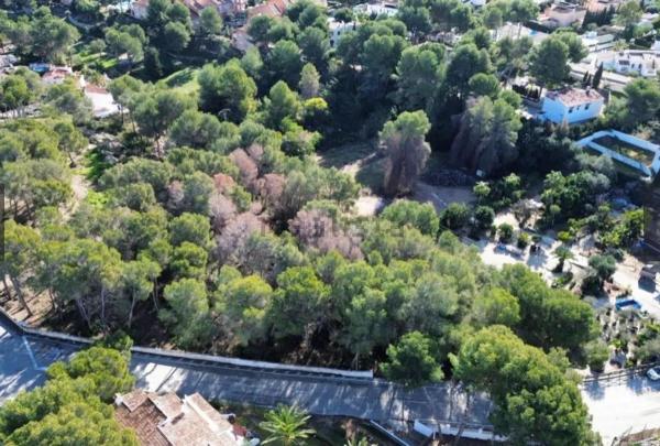 Terreno en Pinar de Advocat-Cometa, Moraira photo 3