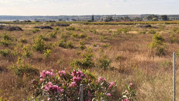Terreno en Valverde, Elche / Elx photo 4