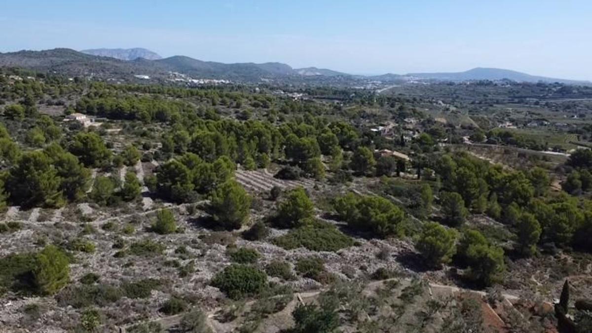 Terreno en venta en Benissa, Alicante photo 2