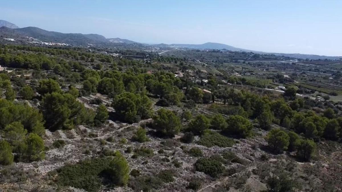 Terreno en venta en Benissa, Alicante photo 3