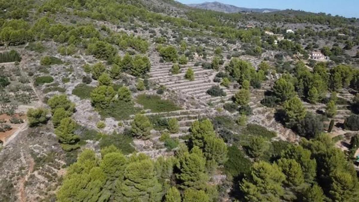 Terreno en venta en Benissa, Alicante photo 5