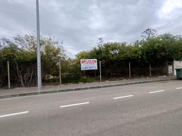 Terreno en Avenida de Italia, Mil Palmeras, Pilar de la Horadada photo 1