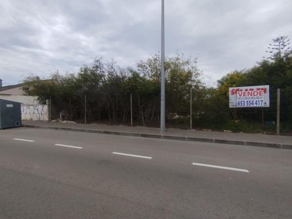 Terreno en Avenida de Italia, Mil Palmeras, Pilar de la Horadada thumbnail 3