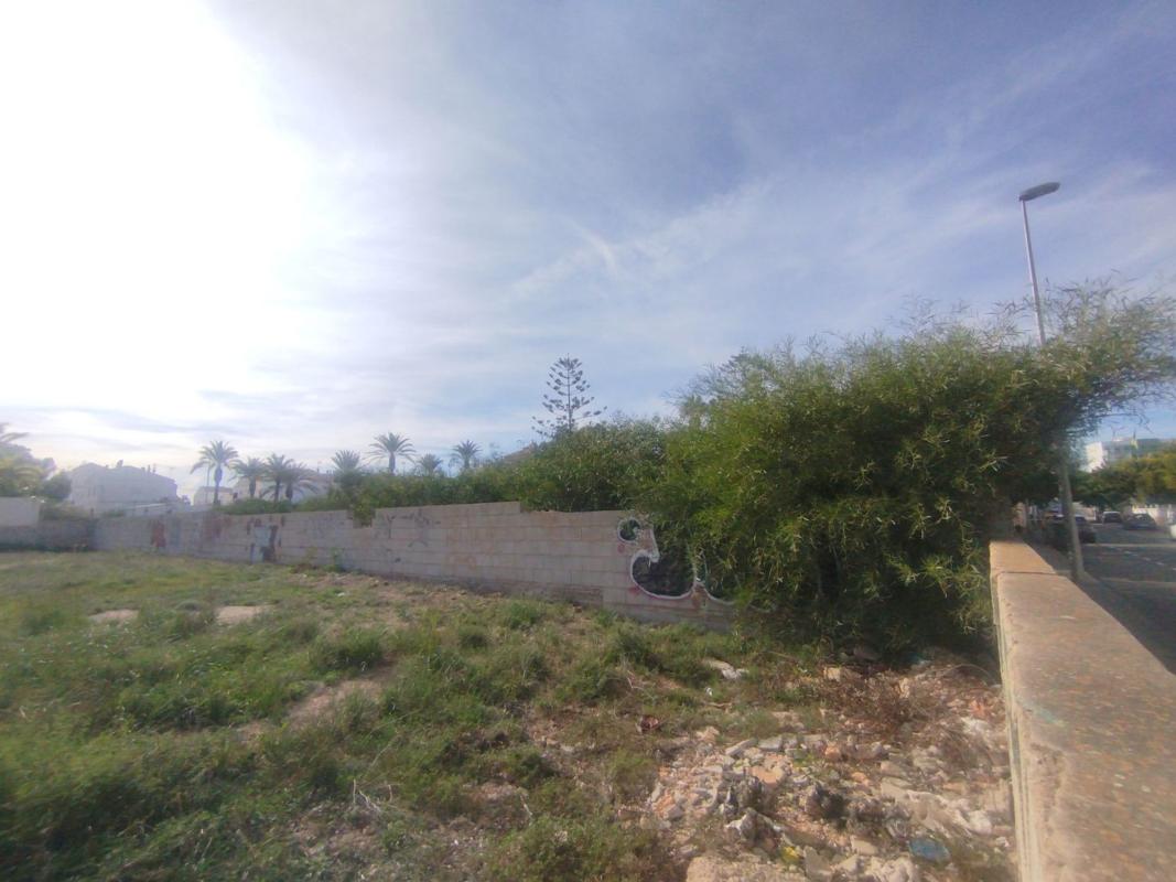 Działka na sprzedaż w Pilar de la Horadada, Alicante photo 5