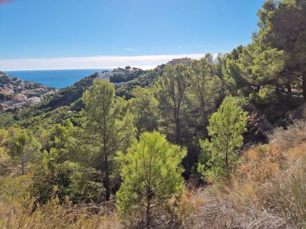 Terreno en Avenida Europa, 608, Altea Hills, Altea photo 2