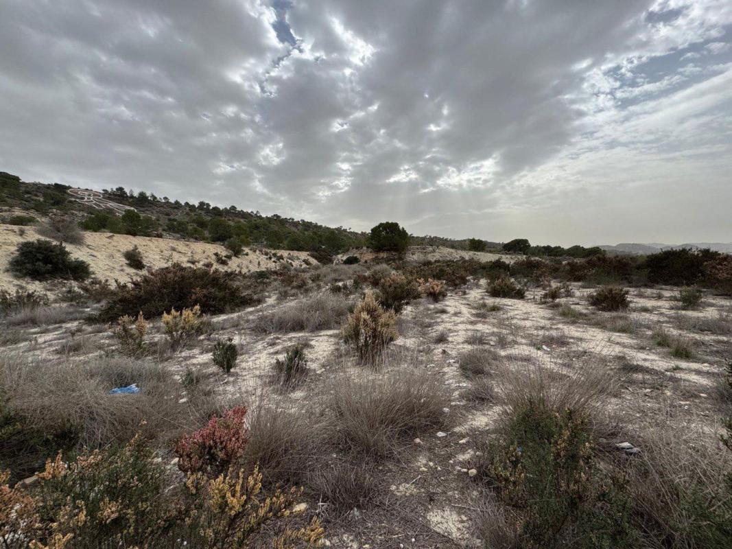 Terreno en venta en El Verger, Alicante photo 5