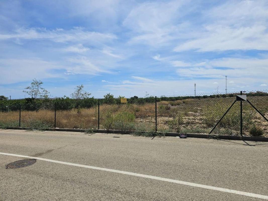 Terreno en venta en Algorfa, Alicante photo 1