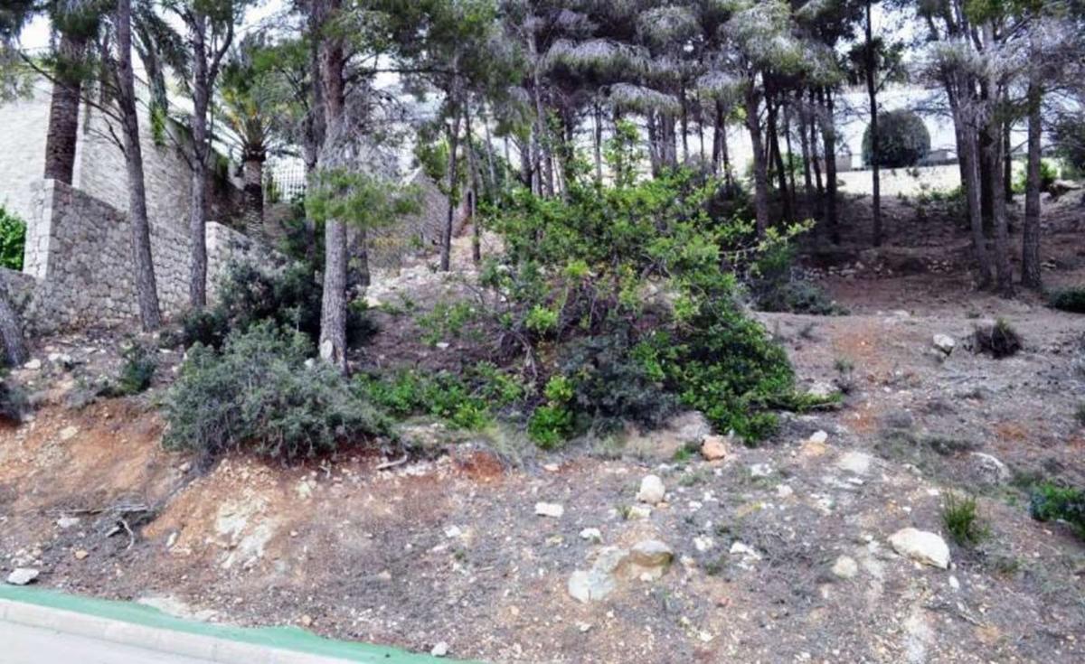 Land for sale in Altea, Alicante photo 3