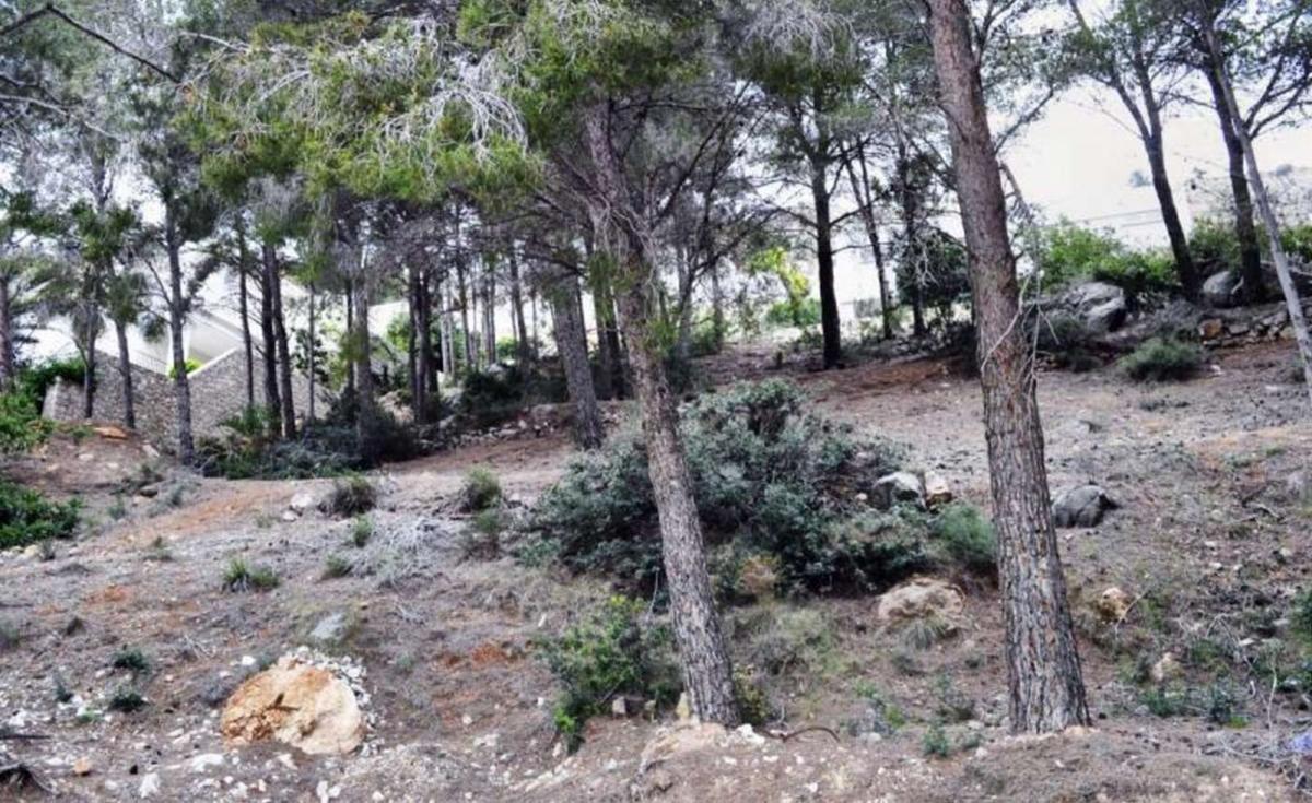 Land for sale in Altea, Alicante photo 4