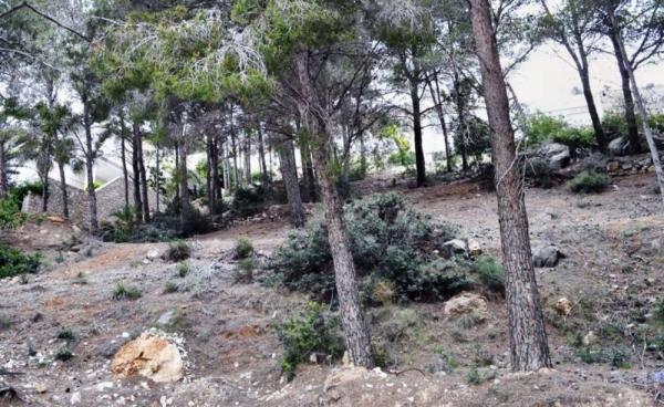 Terreno en Altea Hills, Altea photo 4
