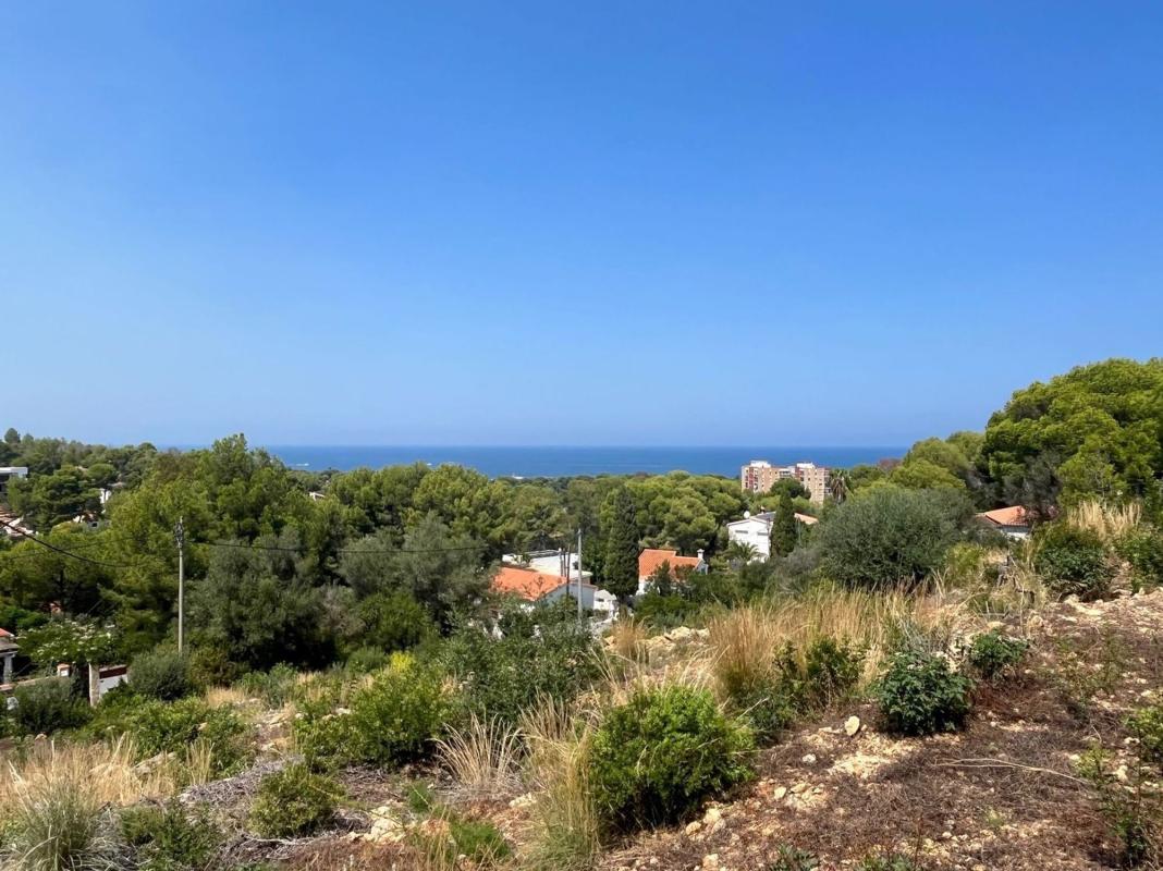 Land for sale in Denia, Alicante photo 1