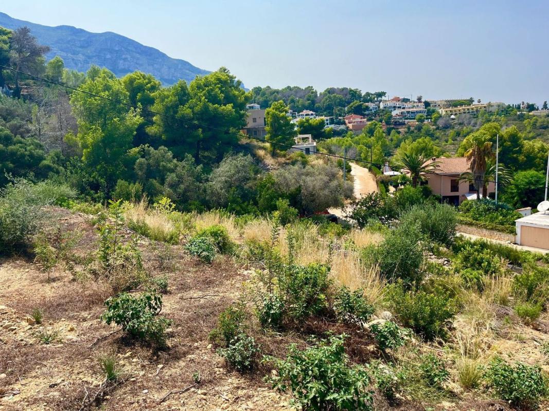 Land for sale in Denia, Alicante photo 3
