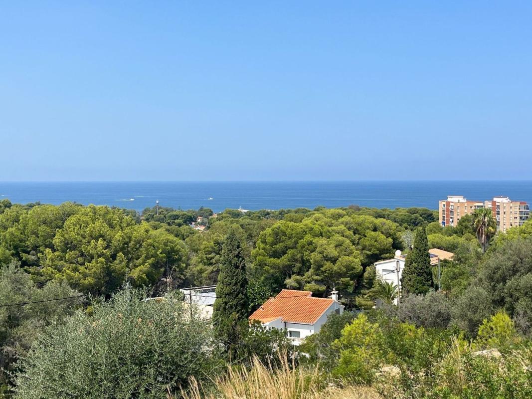 Land for sale in Denia, Alicante photo 4