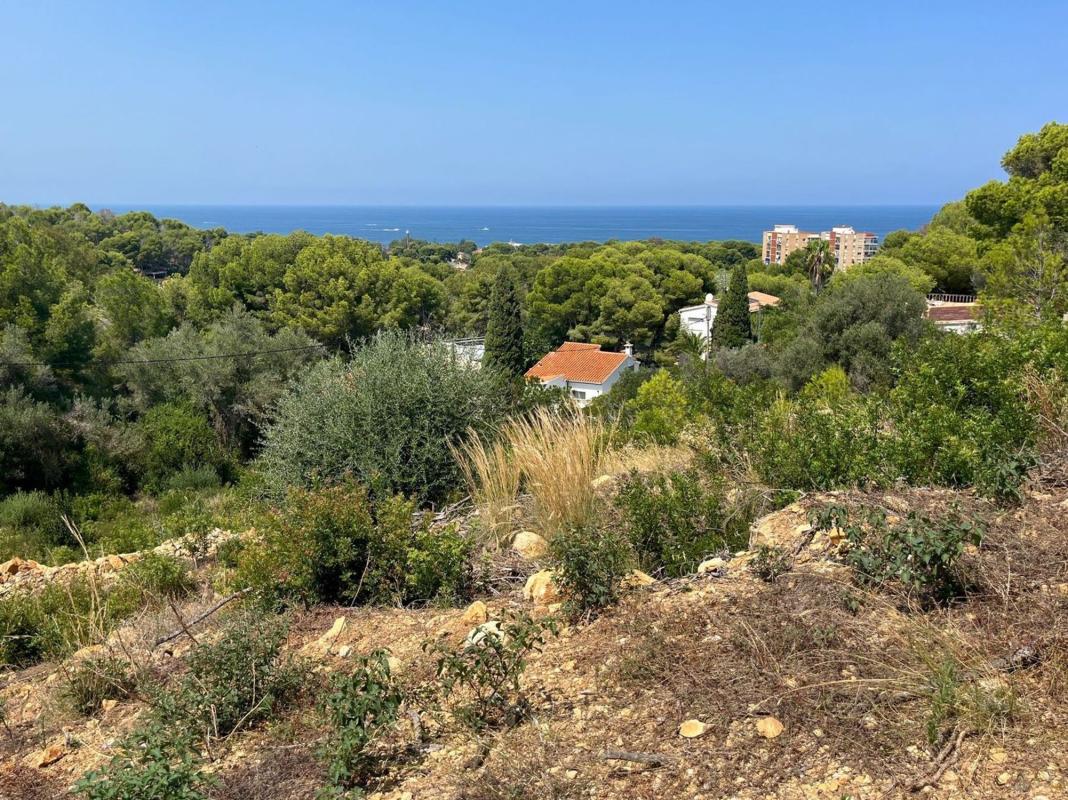 Land for sale in Denia, Alicante photo 5