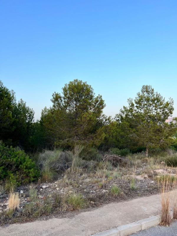 Terreno en venta en Benidorm, Alicante photo 3