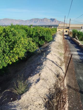 Terreno en Calle la Paz, 19, Desamparados-Hurchillo-Torremendo, Orihuela thumbnail 3