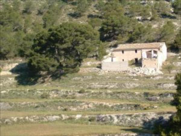 Terreno en Castalla photo 4