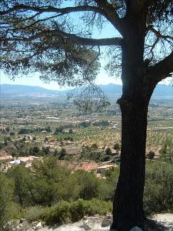 Działka na sprzedaż w Castalla, Alicante photo 5