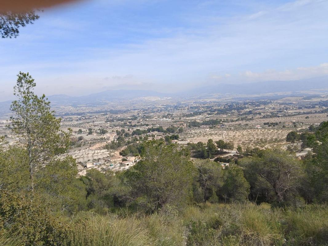 Działka na sprzedaż w Castalla, Alicante photo 2