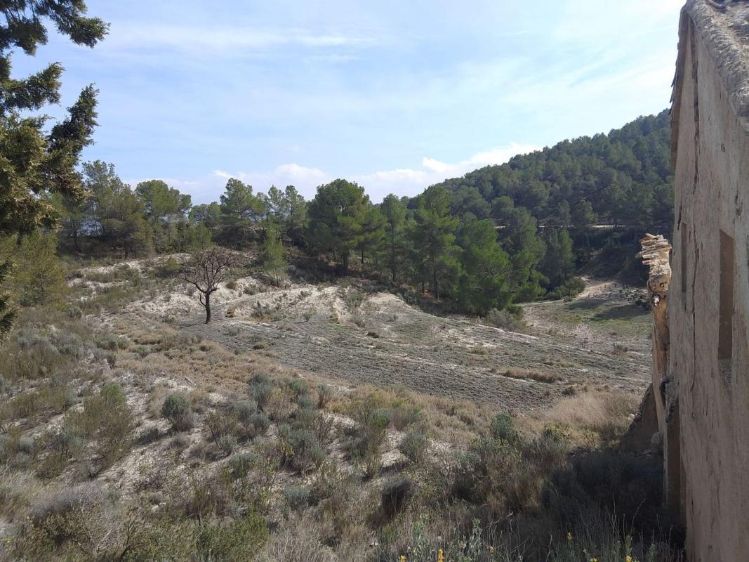 Działka na sprzedaż w Castalla, Alicante photo 5