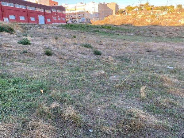 Terreno en Monovar photo 3