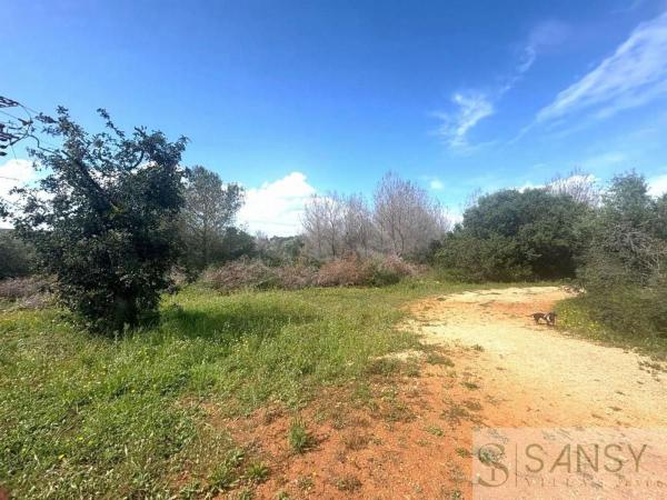 Terreno en La Granadella - Costa Nova, Jávea/Xàbia thumbnail 2