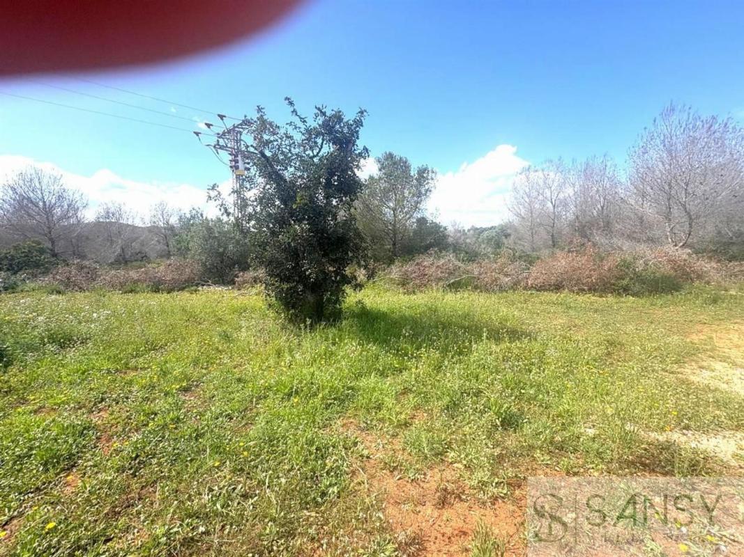 Terreno en venta en Jávea/Xàbia, Alicante photo 4