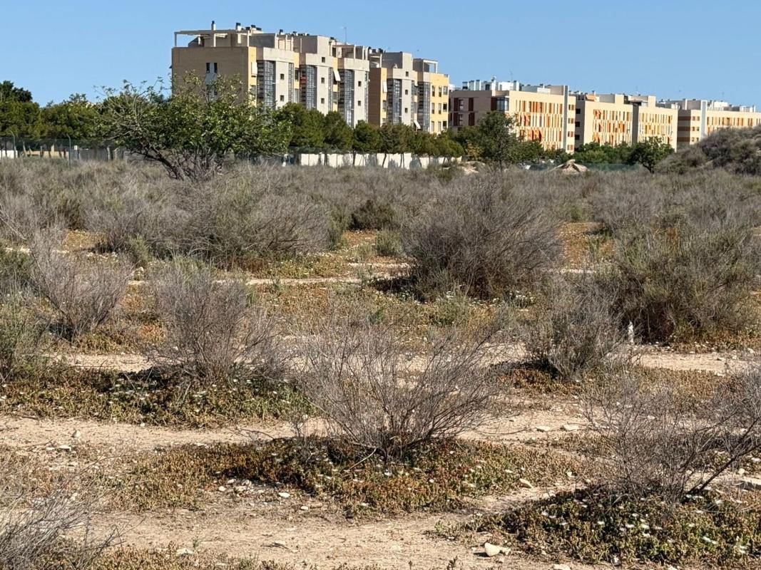 Terreno en venta en San Juan de Alicante, Alicante photo 1