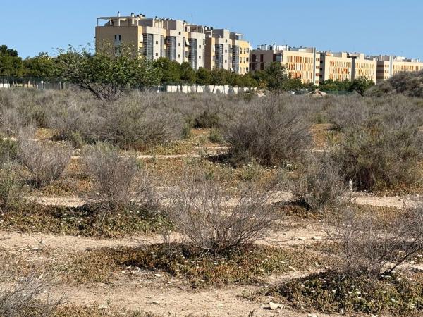 Terreno en Camino viejo de Villajoyosa, km 3, Centro, San Juan de Alicante photo 1