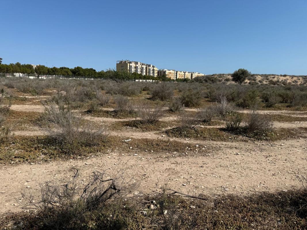 Terreno en venta en San Juan de Alicante, Alicante photo 2