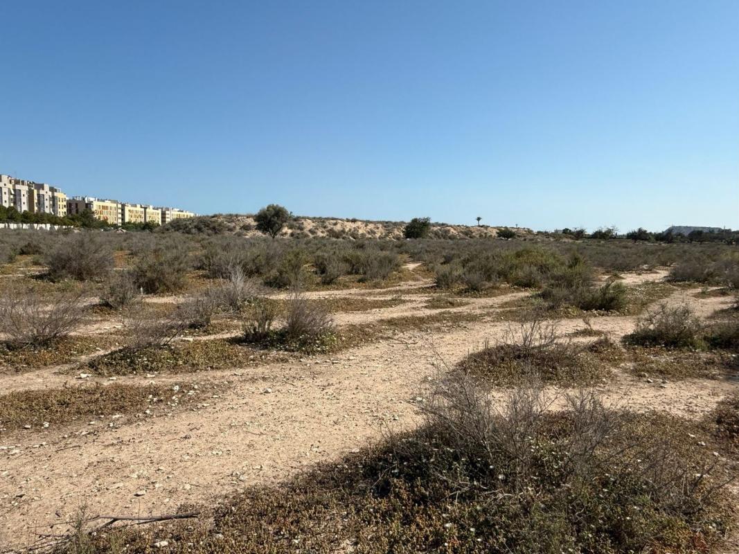 Terreno en venta en San Juan de Alicante, Alicante photo 3