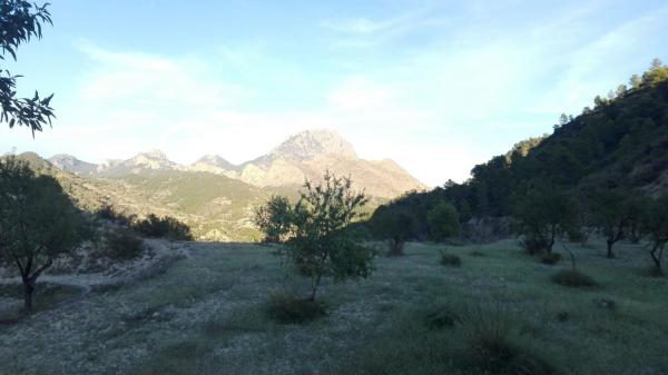 Terreno en Carretera orcheta s/n, Sella photo 1
