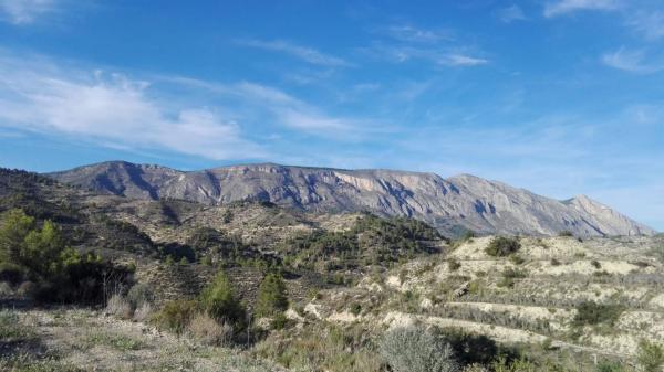 Terreno en Carretera orcheta s/n, Sella thumbnail 2
