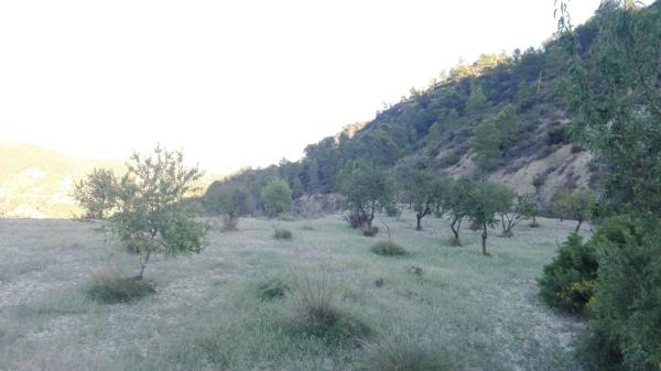 Terreno en Carretera orcheta s/n, Sella thumbnail 3