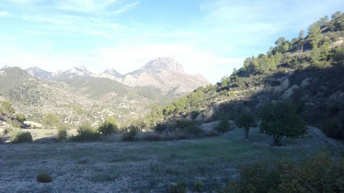 Land for sale in Sella, Alicante photo 4