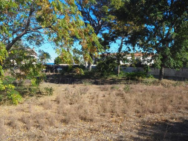 Terreno en Calle Io, Les Rotes/Las Rotas, Denia thumbnail 3
