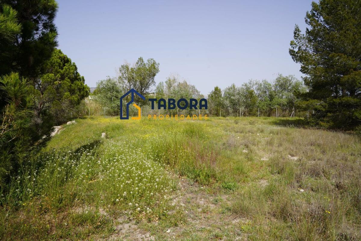 Участок земли на продажу в Касталья, Аликанте photo 2