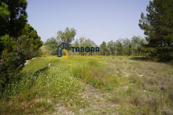 Terreno en Lugar Poligono 1 Partida 2, 644, Castalla photo 2