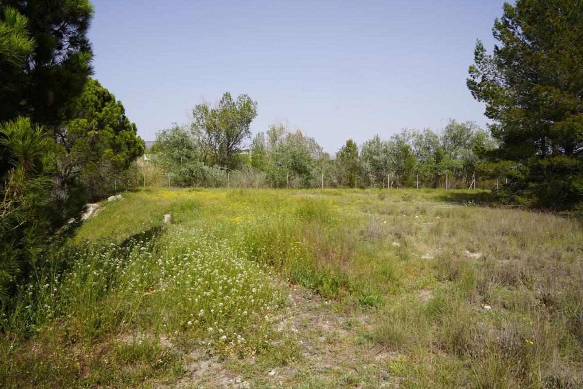 Участок земли на продажу в Касталья, Аликанте photo 5