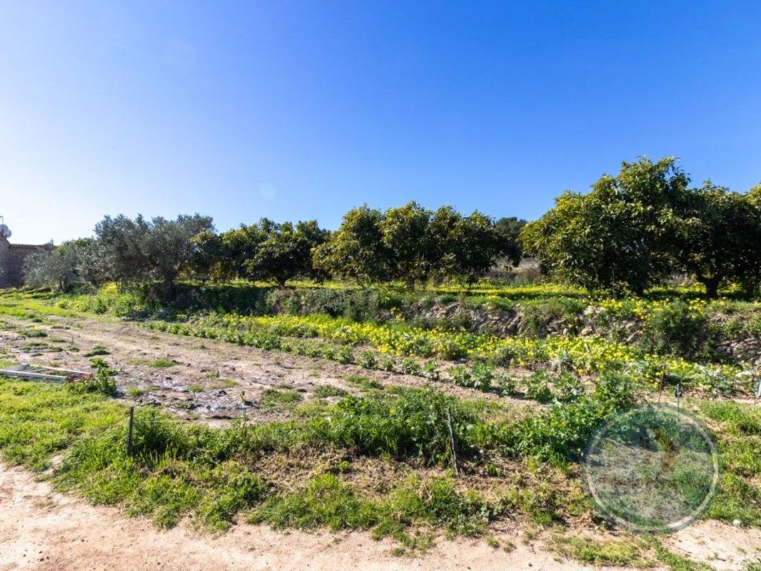 Land for sale in Teulada, Alicante photo 4
