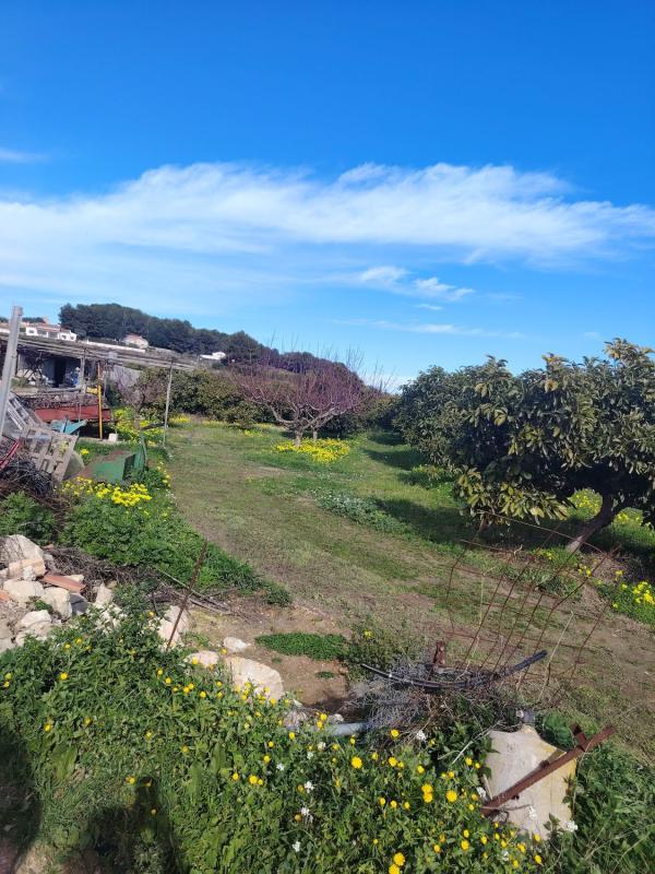 Terreno en venta en Teulada, Alicante photo 5
