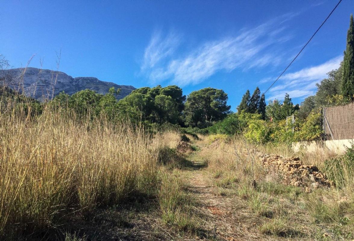 Land for sale in Denia, Alicante photo 4
