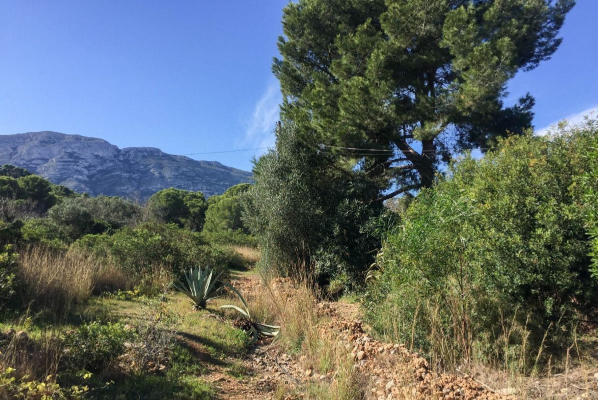 Land for sale in Denia, Alicante photo 5