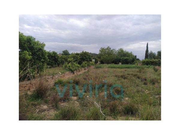 Terreno en Plaza Talades Pp 26, 41 a, Platja de Torres, La Villajoyosa / Vila Joiosa thumbnail 3